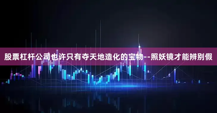 股票杠杆公司也许只有夺天地造化的宝物--照妖镜才能辨别假