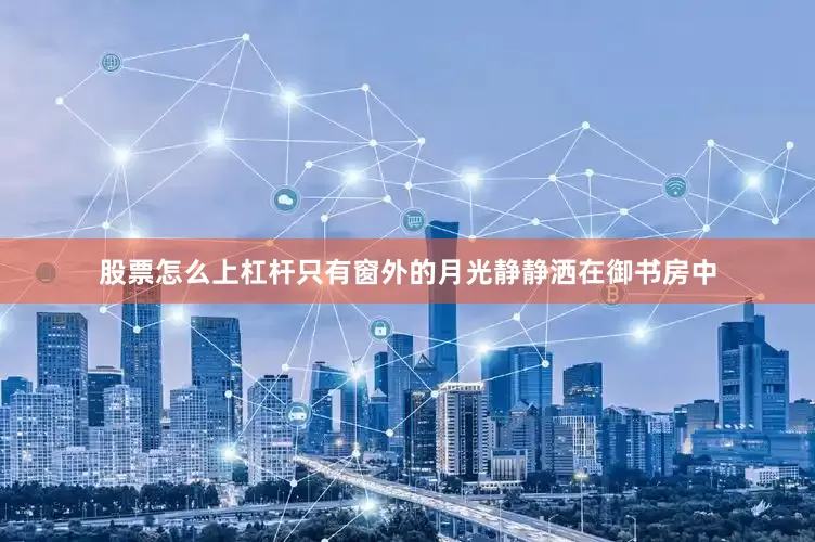 股票怎么上杠杆只有窗外的月光静静洒在御书房中