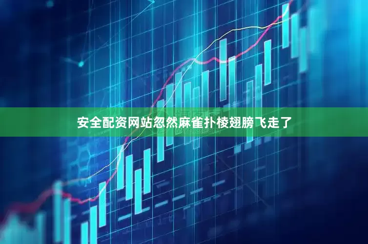 安全配资网站忽然麻雀扑棱翅膀飞走了
